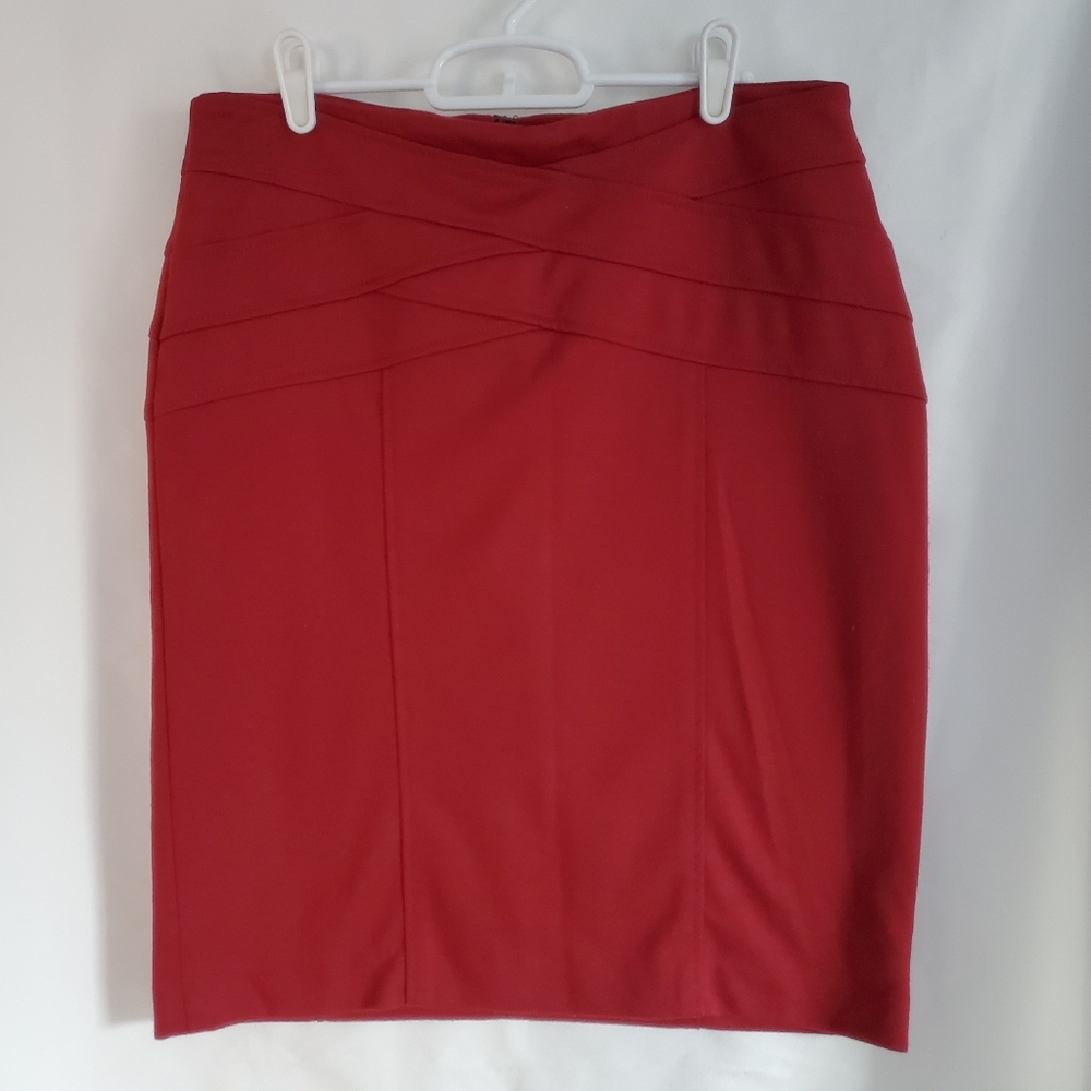 Womens Sharagano Brick Red Skirt Detailed Waist Stitching Back Zipper Size 10